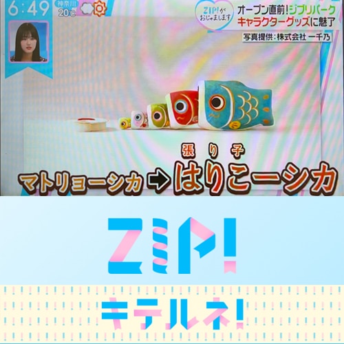 日本テレビ系列 ZIP!内コーナー「キテルネ！」にてはりこーシカ®️が紹介されました。